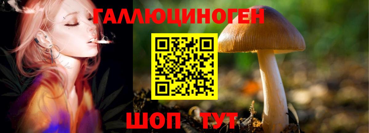Мытищи  Галлюциногенные грибы прущие грибы  Галлюциногенные грибы Cubensis  Вход с VPN 
