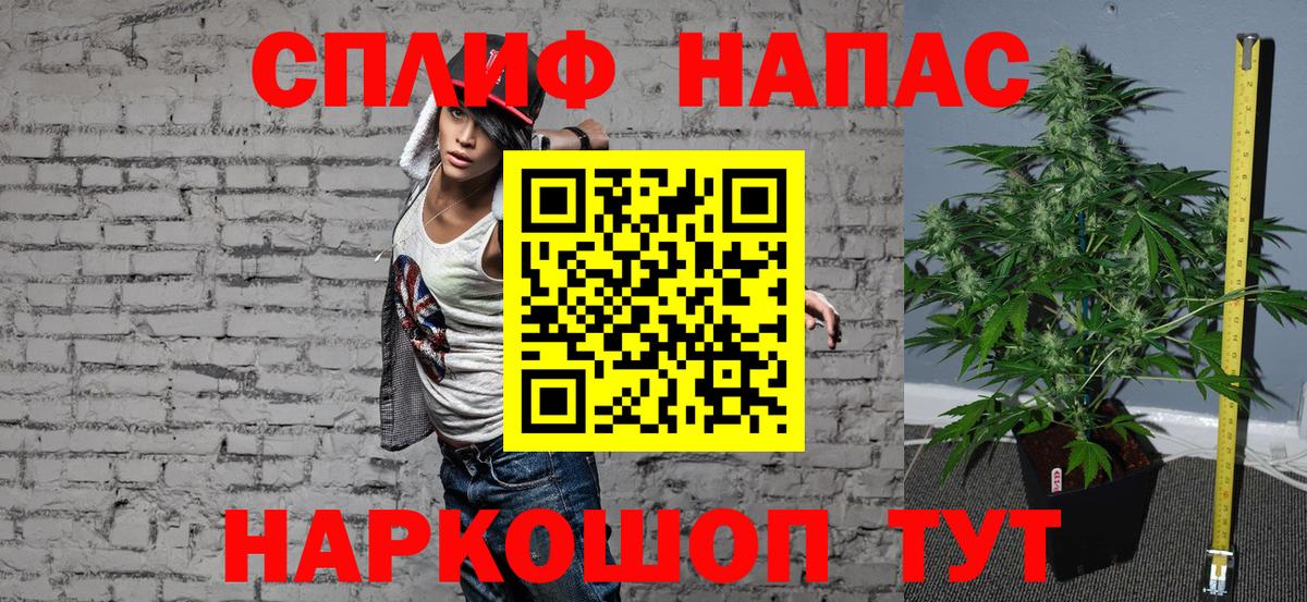Каннабис ГИДРОПОН Мытищи